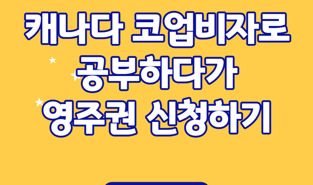 캐나다 코업비자 이제는 시작할 타이밍! 프로모션 안내!