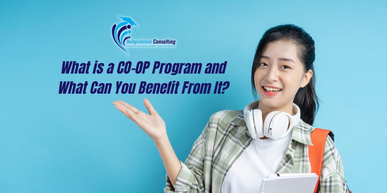 CO-OP Program: What is It and What Can You Benefit From It?